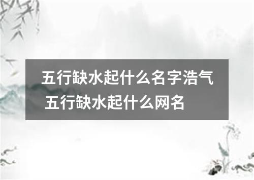 五行缺水起什么名字浩氣 五行缺水起什么網名